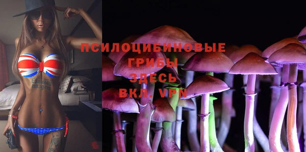 2c-b Балабаново