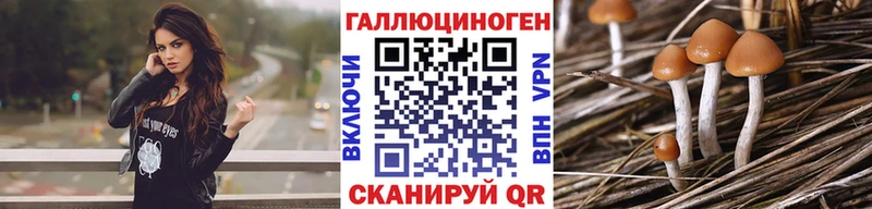 цены   Заозёрск  Псилоцибиновые грибы GOLDEN TEACHER 